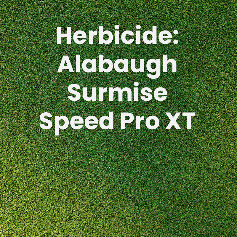 Albaugh Surmise Speed Pro XT