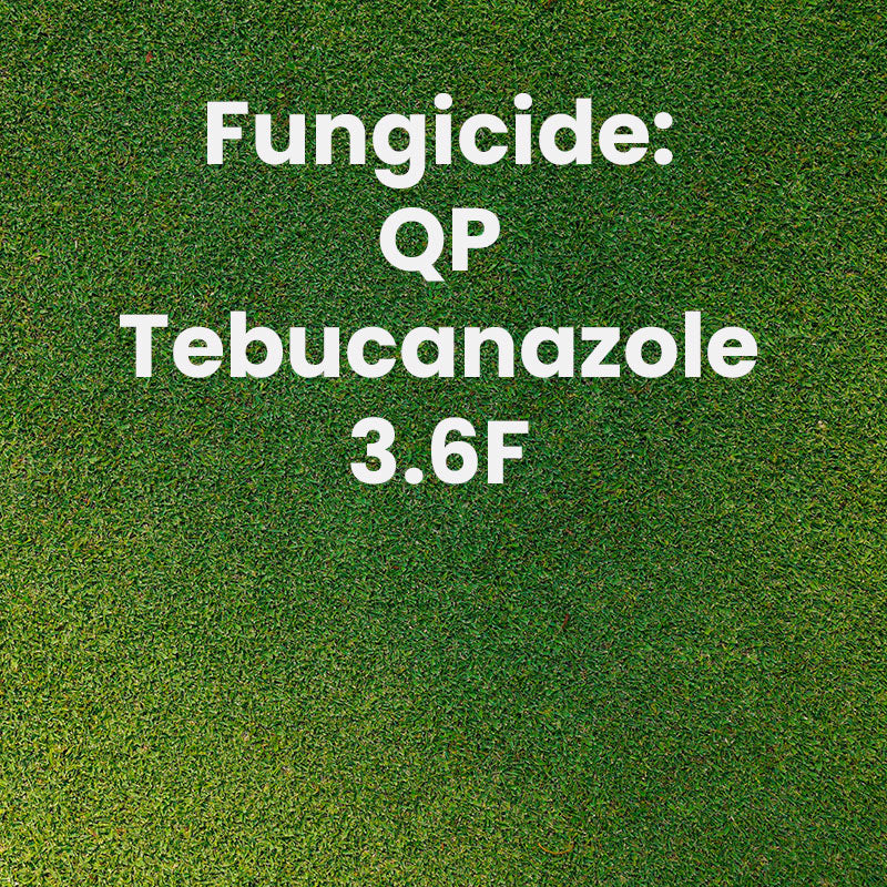 QP Tebucanazole 3.6F 1 gal